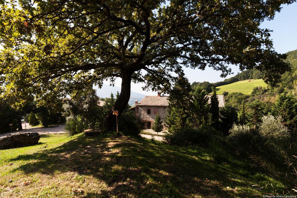 Agriturismo Paradiso41 Ассізі Екстер'єр фото