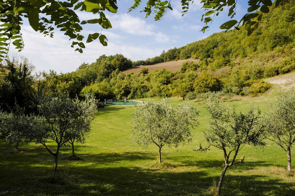 Agriturismo Paradiso41 Ассізі Екстер'єр фото